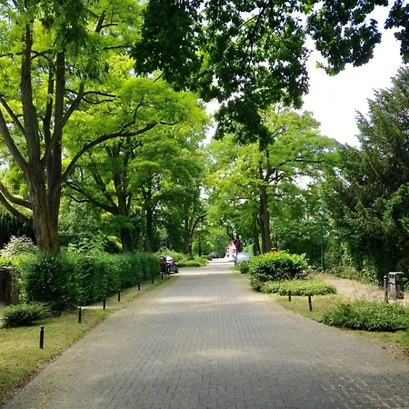 1-raum-wohnung Am Kurpark Am Gradierwerk Schonebeck (Saxony-Anhalt)